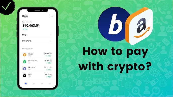 BitPay Integrated Terminal